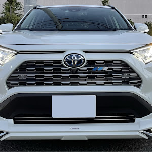 RAV4 AXAH54