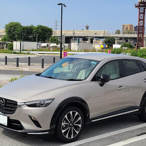 CX-3 DKLFW