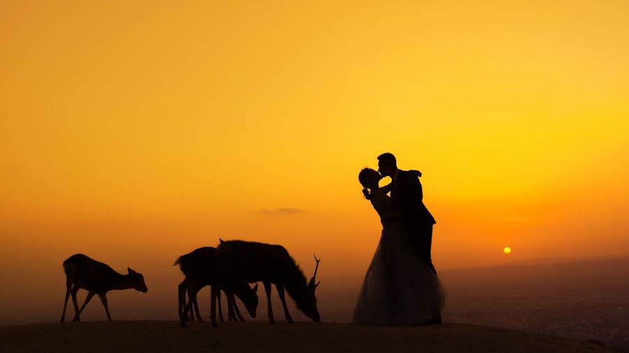 Fotógrafo de bodas Lei Liu (liulei). Foto del 4 de diciembre 2018