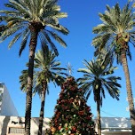 christmas tree on Lincoln Road in Miami, United States 