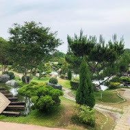 澄霖沉香味道森林館