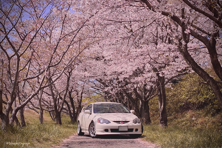 インテグラの桜と愛車・桜とコラボ・桜・過去写真に関するカスタム事例の投稿画像1枚目