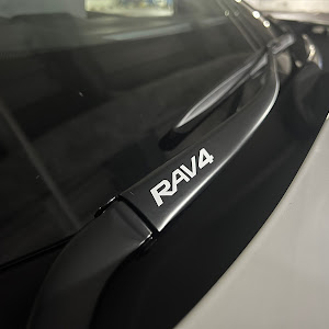 RAV4 MXAA54