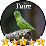 Cover Image of Download Canto de Tuim 4.1 APK