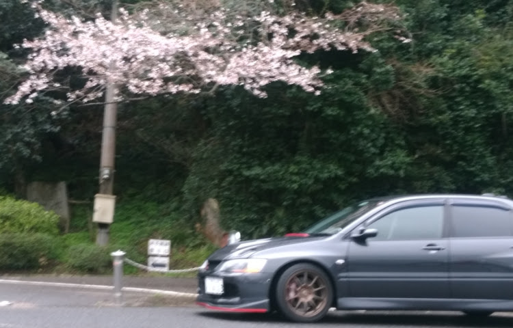 ランサーエボリューションの桜とコラボ・雪とコラボ・桜と雪と愛車・一面雪・春の大山ドライブに関するカスタム事例の投稿画像11枚目