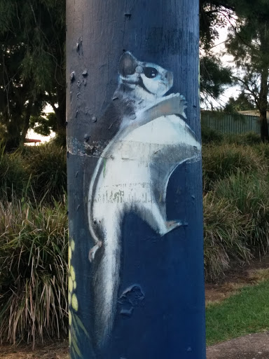 Sugar Glider Jumping over the Moon