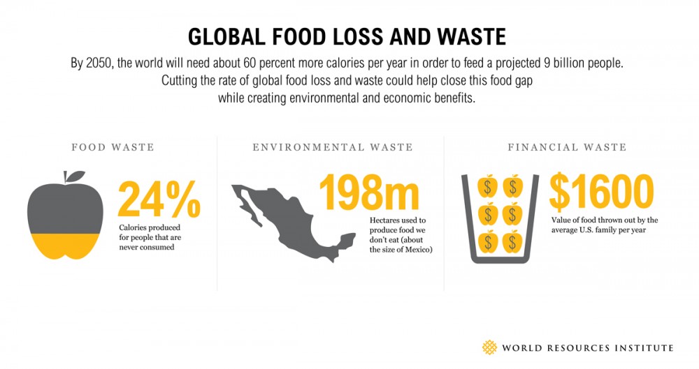 http://www.virgin.com/sites/default/files/legacy/food_loss_and_waste_infographic-18464.jpg