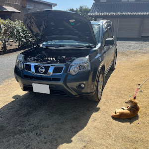 エクストレイル NT31