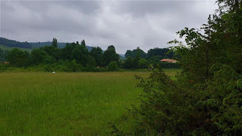 terrain à Chantérac (24)