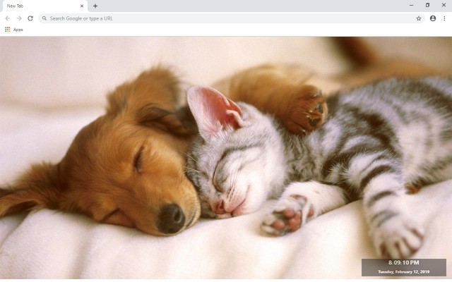 Cats & Dogs New Tab & Wallpapers Collection Preview image 2