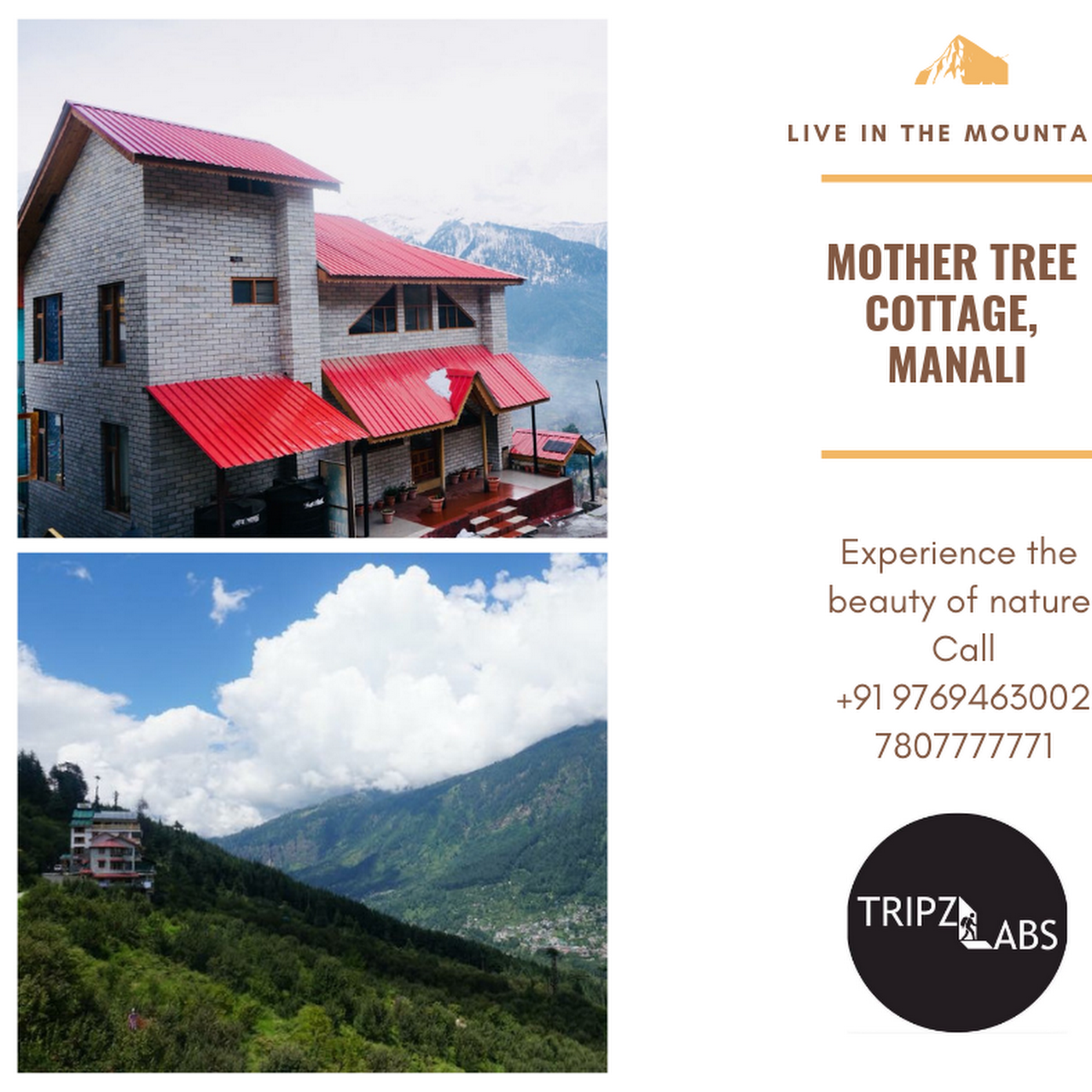 Tripzlabs Mother Tree Cottage Cottage Rental In Manali