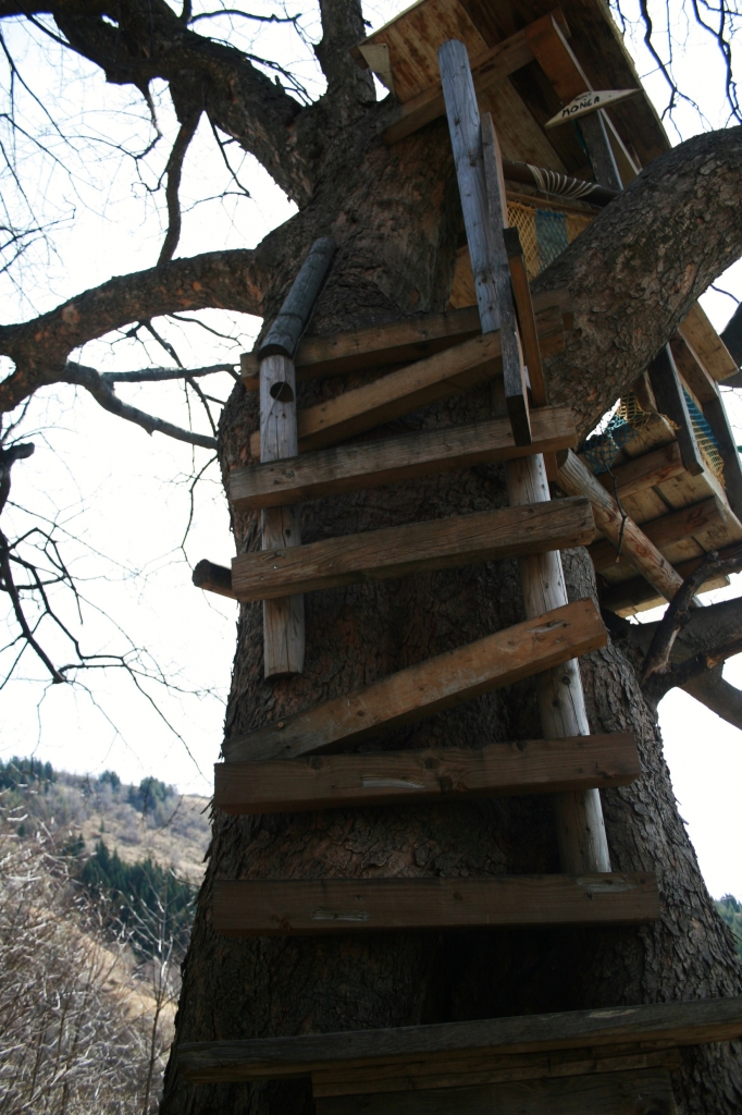 Le scale sull'albero di $fare$