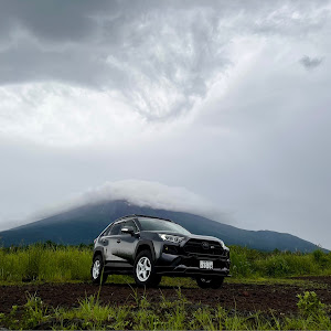 RAV4 MXAA54