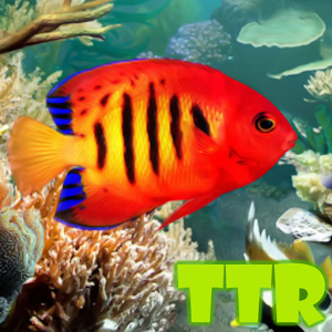 Download aquarium live wallpaper For PC Windows and Mac