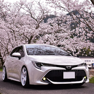 カローラスポーツ NRE210H