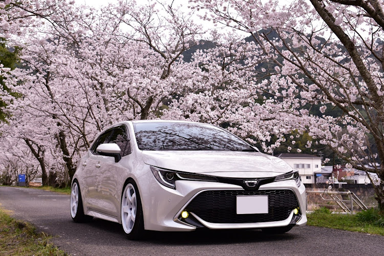 カローラスポーツの桜とコラボ・桜・カローラスポーツに関するカスタム事例の投稿画像1枚目