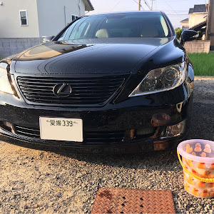 LS