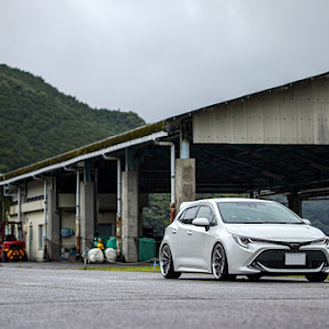 カローラスポーツ NRE210H