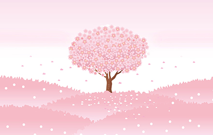 Japanischer Sakura Kirschbaum Pink small promo image