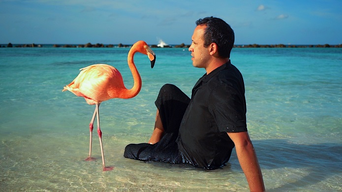 The Mystery of the Pink Flamingo