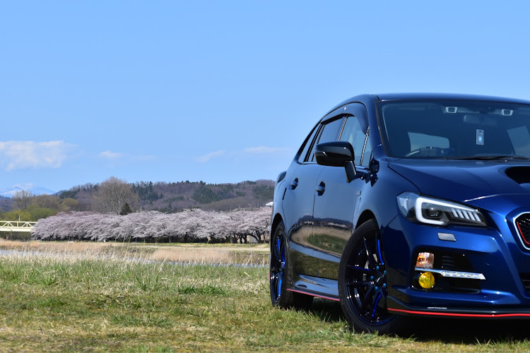 レヴォーグのレヴォーグ・コロナウイルスに負けるな・洗車・桜に関するカスタム事例の投稿画像1枚目
