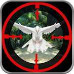 Birds Shooting Safari Apk