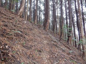 つづら折れで登る