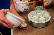 Yoghurt is made by introducing a starter culture of bacteria into milk.