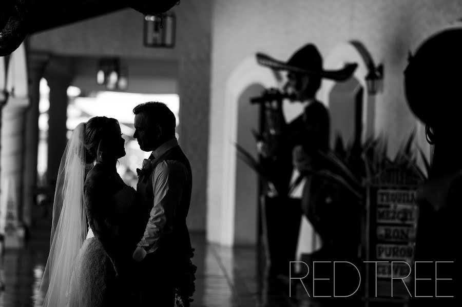 Wedding photographer Amy Moedt (amymoedt). Photo of 9 May 2019