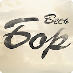 Cover Image of Tải xuống Весь Бор 1.0.3 APK