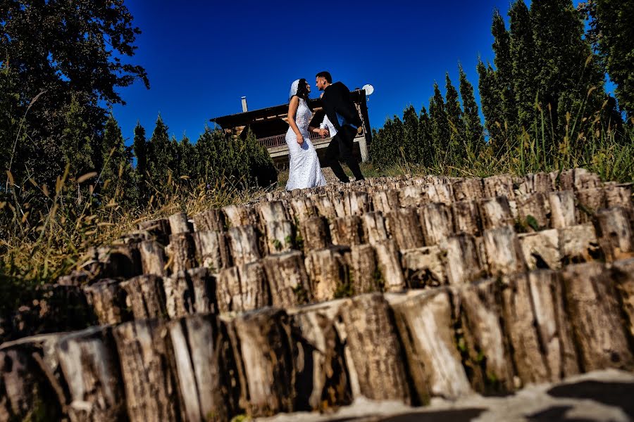 Fotografo di matrimoni Claudiu Stefan (claudiustefan). Foto del 19 novembre 2018