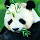 Panda Wallpaper