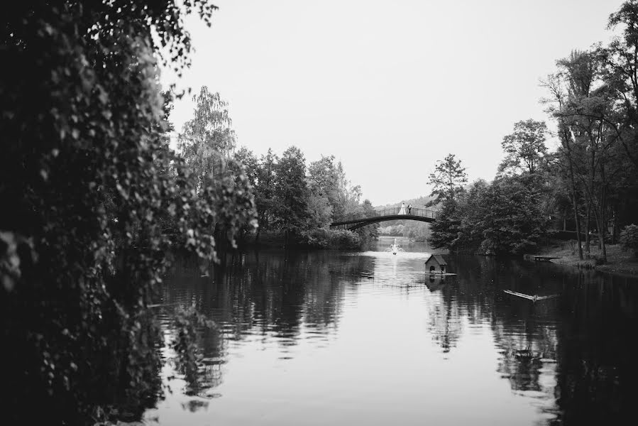 Svatební fotograf Sergey Galushka (sgfoto). Fotografie z 10.listopadu 2017