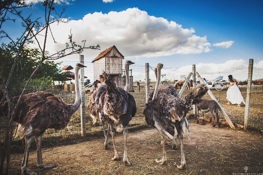 Kāzu fotogrāfs Aleksandra Botvinovskaya (tsezarina). Fotogrāfija: 11. janvāris 2014