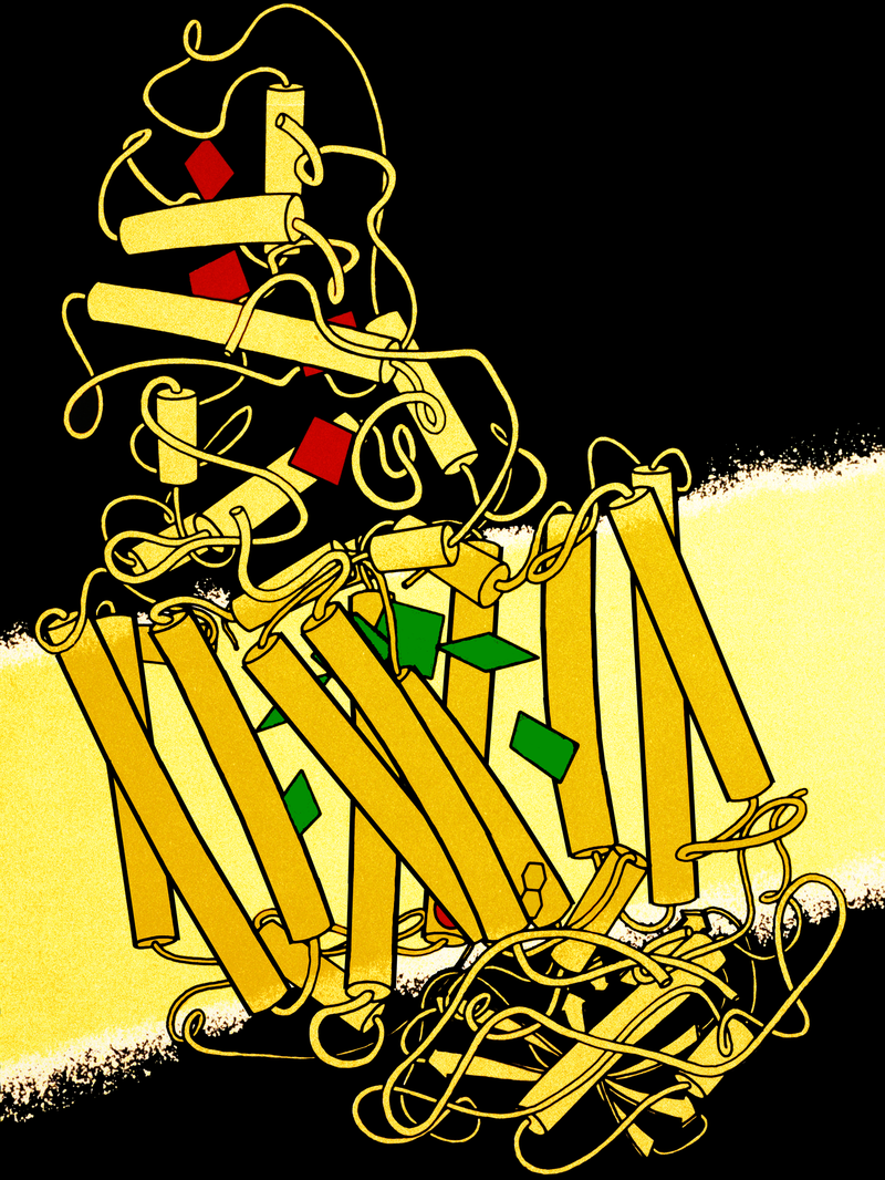 800px-Photosynthetic_Reaction_Center_Drawing.png