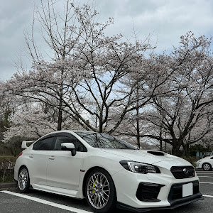 WRX STI