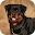 Rottweiler Dog Life Simulator Download on Windows