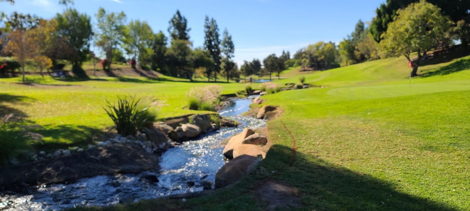 초록초록 27홀 챔피언십 골프코스 - 로스 카요티스 컨트리클럽 Los Coyotes Country Club