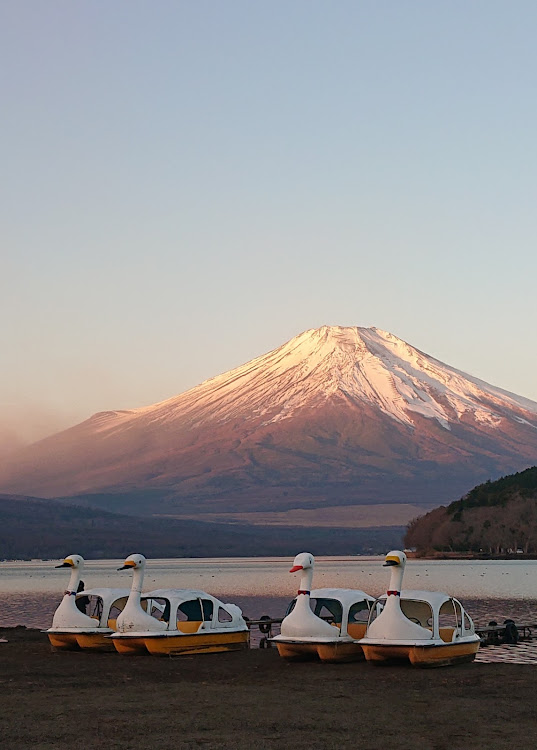 ヴェルファイアの家族旅行・富士山と愛車・ベイブリッジと愛車・赤レンガ倉庫・江ノ島に関するカスタム事例の投稿画像3枚目