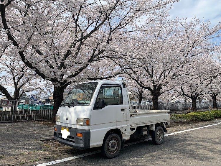 の投稿画像1枚目