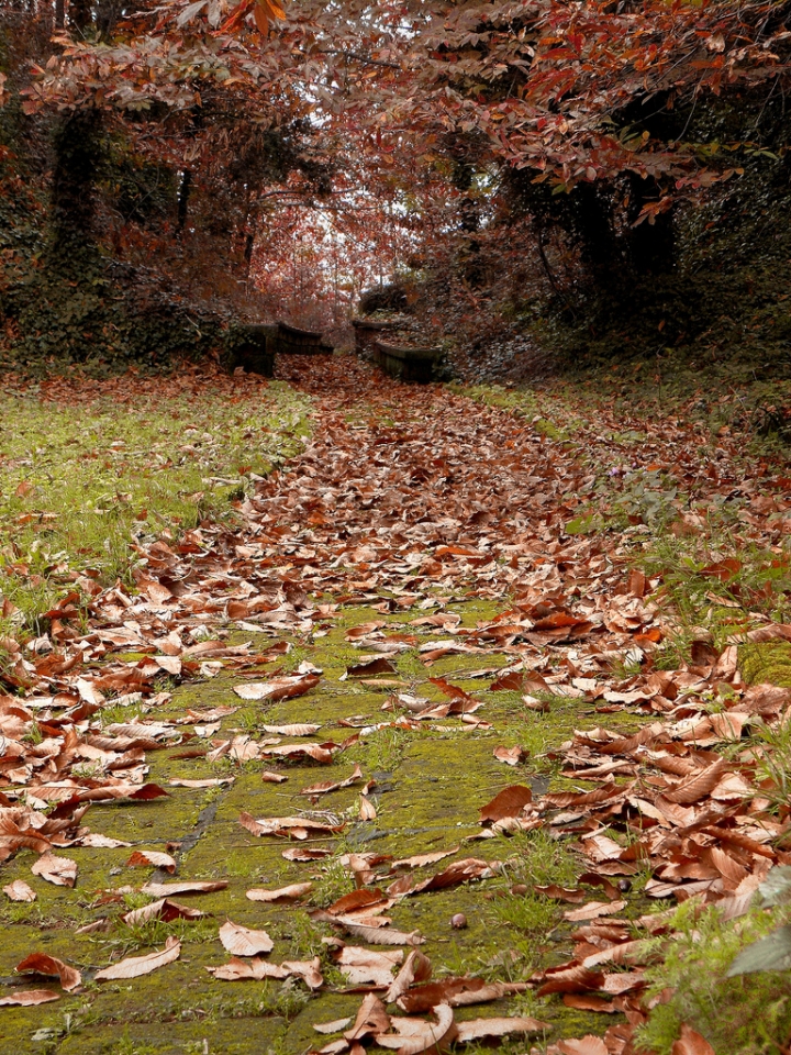 Parco Urbano dei Camaldoli di diegos79