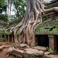 Natura e rovine convivono insieme di 