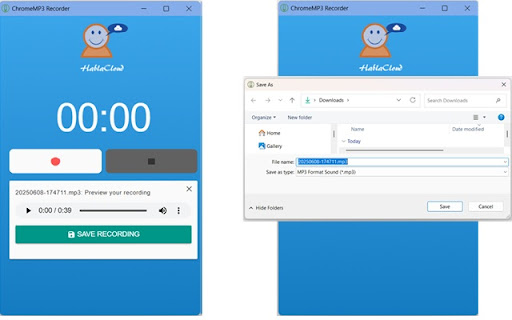 ChromeMP3 Recorder Extension screenshot 3