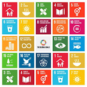 SDG Youth Action Mapper  Icon