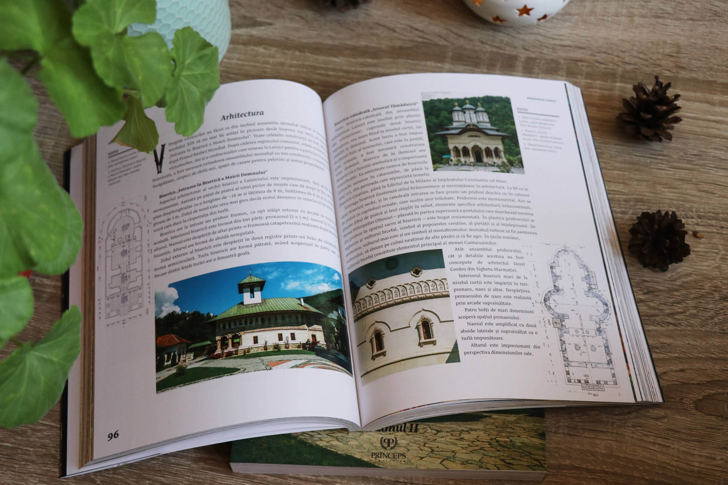 Oltenia Mănăstirilor pagini din carte
