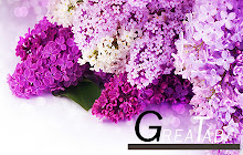 Purple Colour Wallpapers Theme |GreaTab small promo image