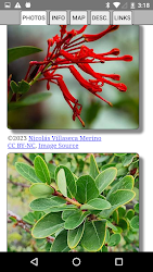 Argentina Wildflowers application demo screenshot