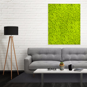 Tableau végétal stabilisé Lichen vert citron