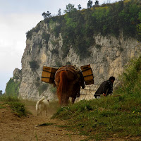 Trasporto a dorso di cavallo di 