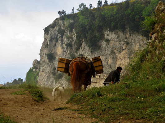 Trasporto a dorso di cavallo di Giorgio Lucca